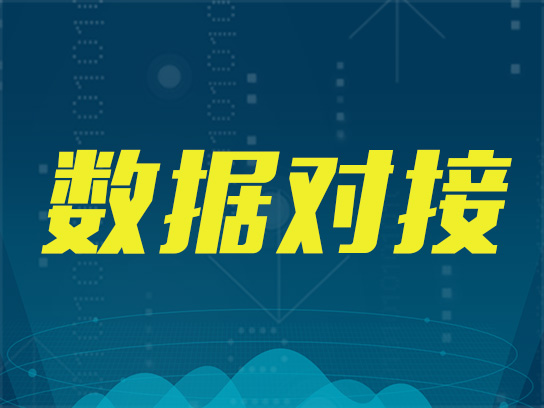 系统数据对接开发电商平台人工智能erp管理系统api接口交互定制