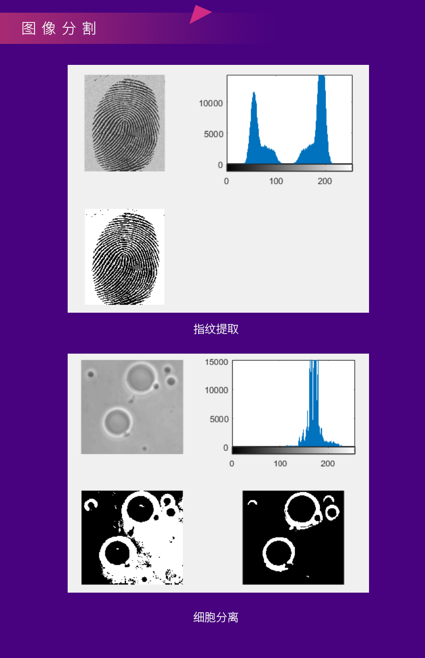 图像分割.jpg